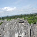 굿데이약국 이미지