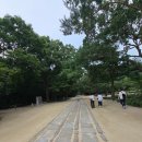 트윈타워온누리약국 | 종로5가 약국 성지 추천 온누리 대웅약국 광장시장 맛집 종묘 종로데이트 주차