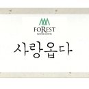 사람옵다 네이버블로그