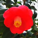 더 스테이 송도 이미지