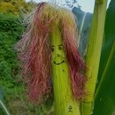 유정상회 이미지