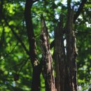 김현주한의원 이미지