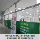 원스네일 이미지
