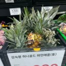 노브랜드문성점
