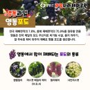 만나과일나라