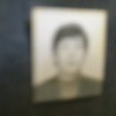 구제바라기 이미지