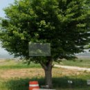 지명인베스트 부동산중개법인 이미지