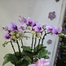 현대아이텔(시청역 6번출구) 이미지