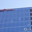 113 연합뉴스