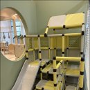 이젠필라테스 - 파주시 해올2길 2 | 이젠필라테스