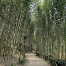 구례의길(섬진강길) 이미지