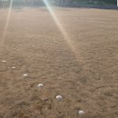 신백중학교 이미지