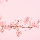 윤혜리한의원 이미지