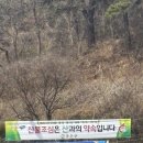 라파엘메디케어 이미지
