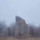 청천중앙 | [인연기] 5년간 계속된 독보 청천 신기, 사주나루 천왕