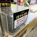 세꼬마김밥카페 이미지