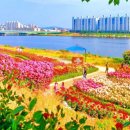 이뻐지는산책 이미지