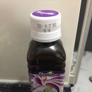나이트크래커 Daum카페