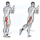 방배로 87_ | [방배동PT, 방배역PT] 걸음주기 동안 근육의 활동