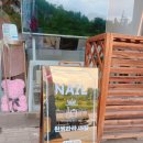 윈썸라라