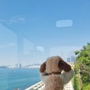 블루비치 관광농원 이미지