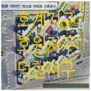 백소장부동산공인중개사사무소 이미지