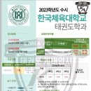 한국태권도컨설팅 이미지