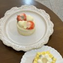 부산 비주얼 쁘띠갸또 맛집 레아파티쓰리｜남천동 디저트 카페 설화·시트롱 후기