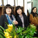 한국뇌성마비장애인협회 청우 이미지