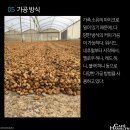 리나농장 이미지