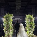 쥬와 | W8. 그랜드모먼트 엘라홀 부산 아이폰 스냅 쥬와스냅 본식 후기💍