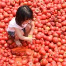 Secret PC존 이미지