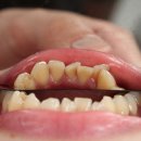 무안탑플란트치과의원 이미지