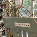 평화와평화