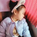 [테마파크] 롯데월드 어드벤처 어린이 놀이기구