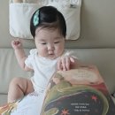 그림이야기 - 종로구 진흥로 490 | 5분공룡이야기 리뷰, 잠자리독서로 좋은 5분이야기시리즈 후기, 유아그림책 추천