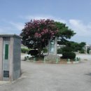 대야초등하교 이미지