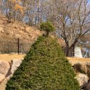 오송송어장 이미지