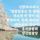 요즘 밴드와 단톡방에 올린 사진과 법문 입니다 이미지