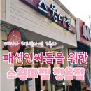 스윙마젤 이미지