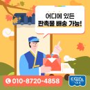 다이스몰 네이버블로그