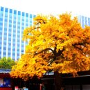 매표소 앞 화장실 이미지