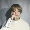브이맨