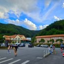 스완흑염소 이미지