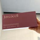 홍대피부과 추천 스킨부스터 쥬브아셀 나비존 집중 시술 후기(내돈내산)