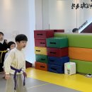 올바른i태권도 이미지