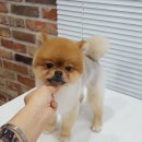 더 예쁘개 이미지
