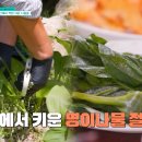 수용민박 이미지
