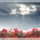 아름다운날들 이미지