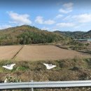 현산농협주유소 이미지